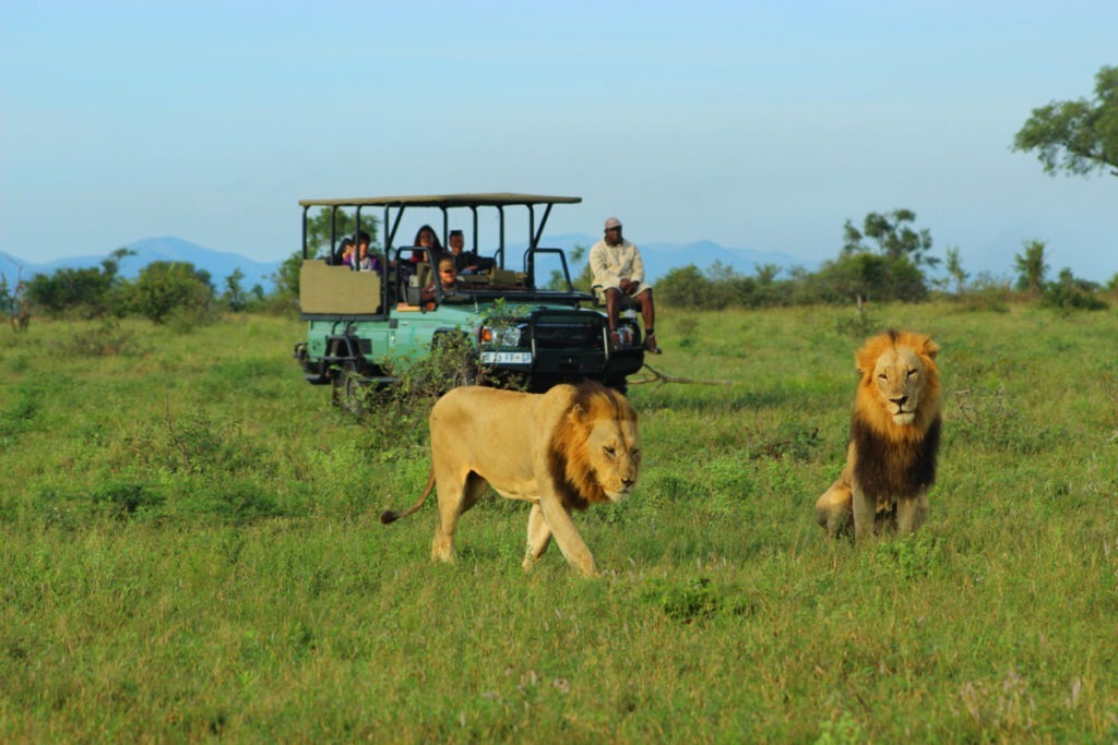 Lukimbi Safari Lodge - Activities