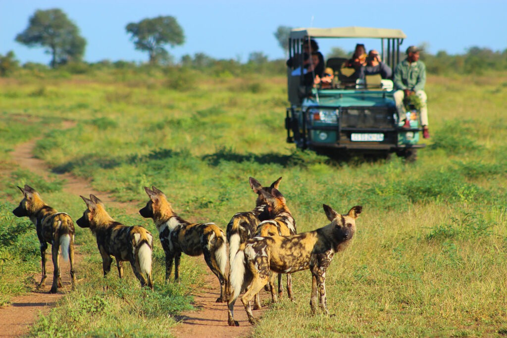 Lukimbi Safari Lodge - Kruger National Park