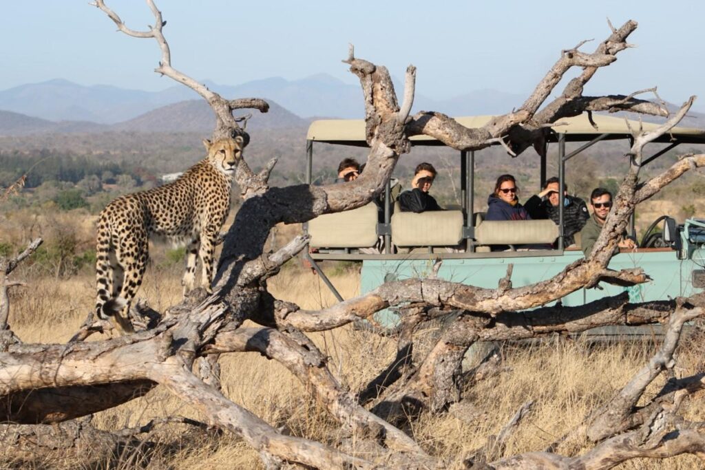Lukimbi Safari Lodge - Kruger National Park