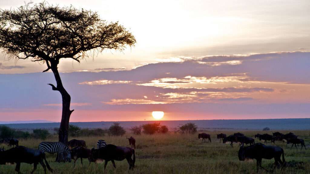 Mara Explorer Tented Camp