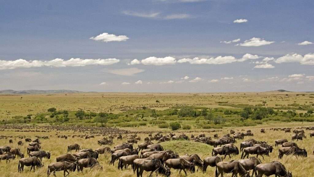 Mara Explorer Tented Camp