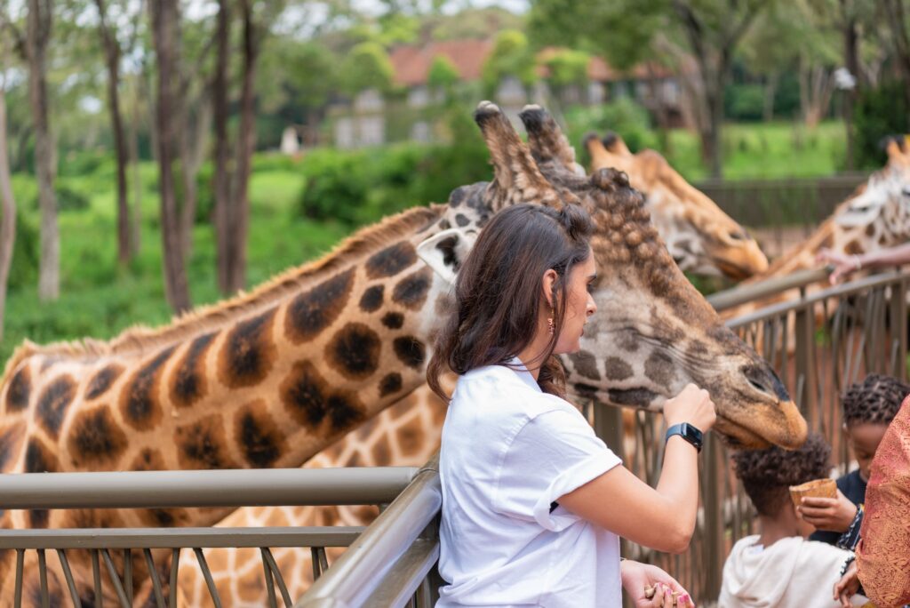 Giraffe Centre - Kenya