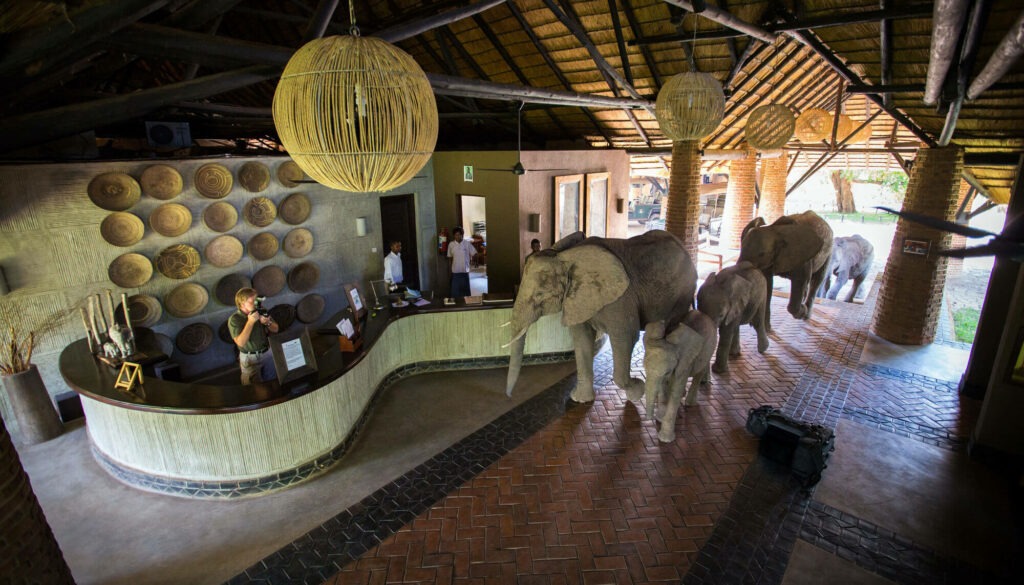 Mfuwe Lodge
