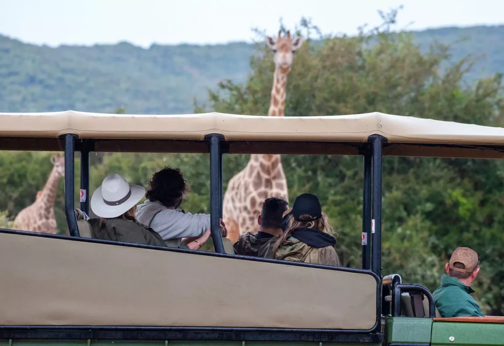 Shamwari Game Reserve