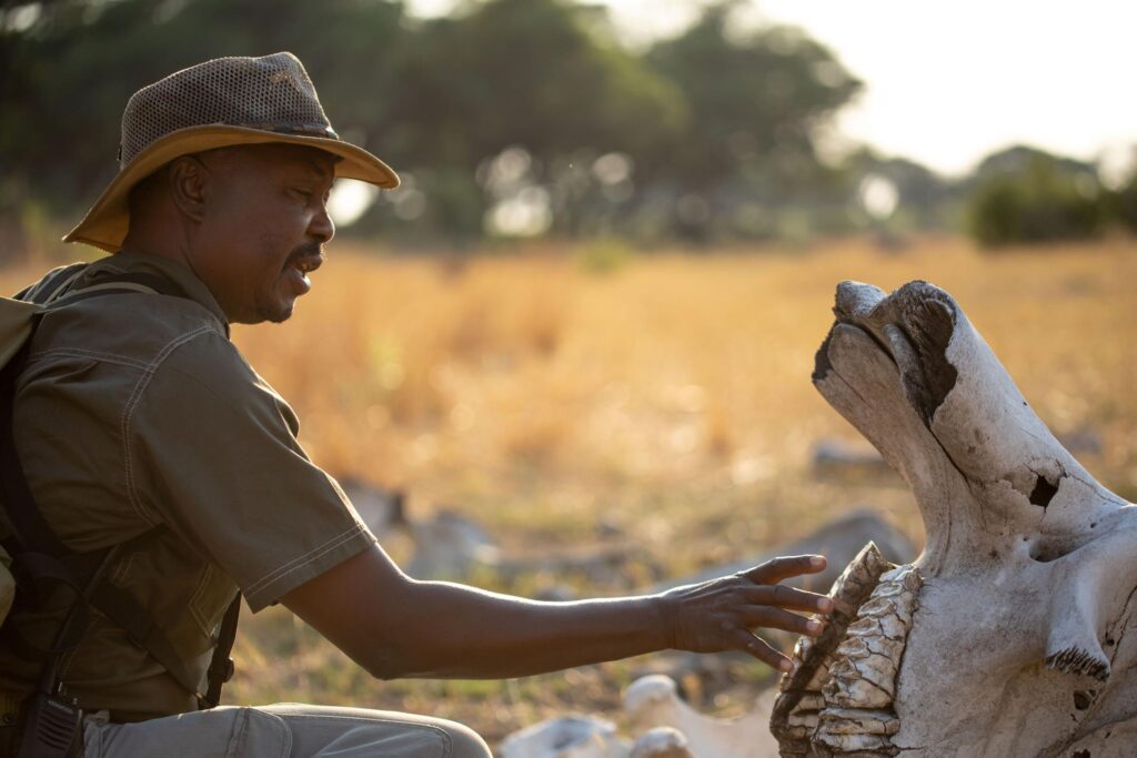 Somalisa Camp - Game Drive - Hwange