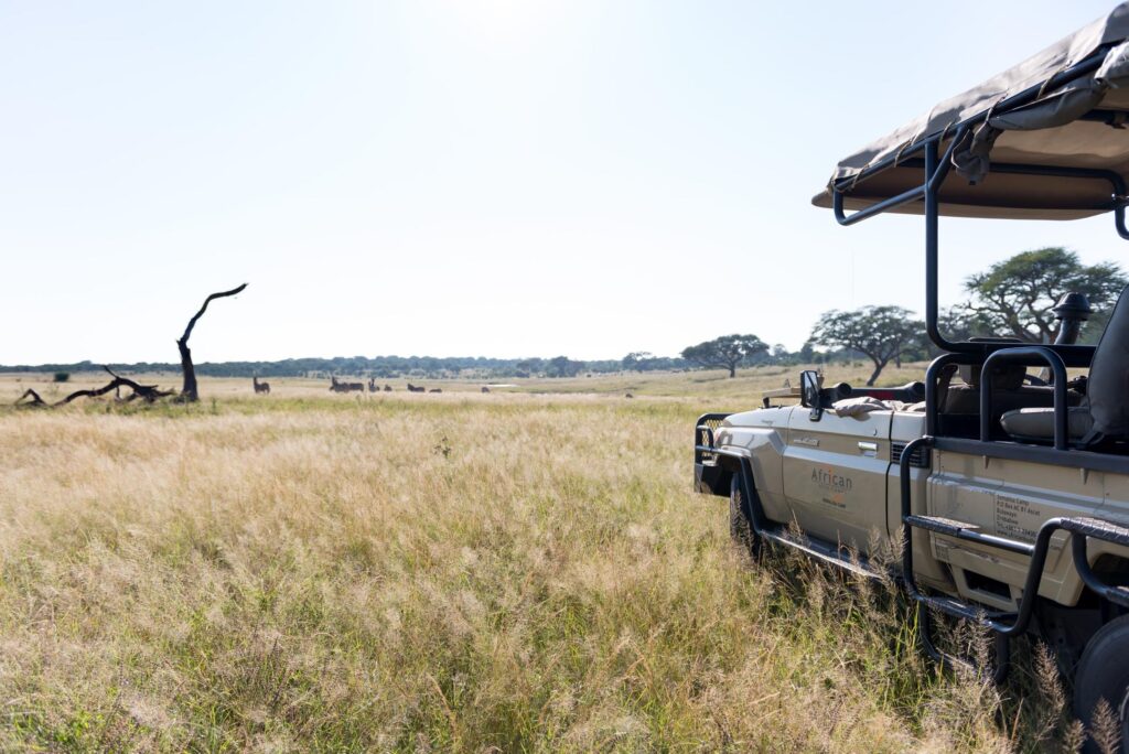 Somalisa Camp - Game Drive - Hwange