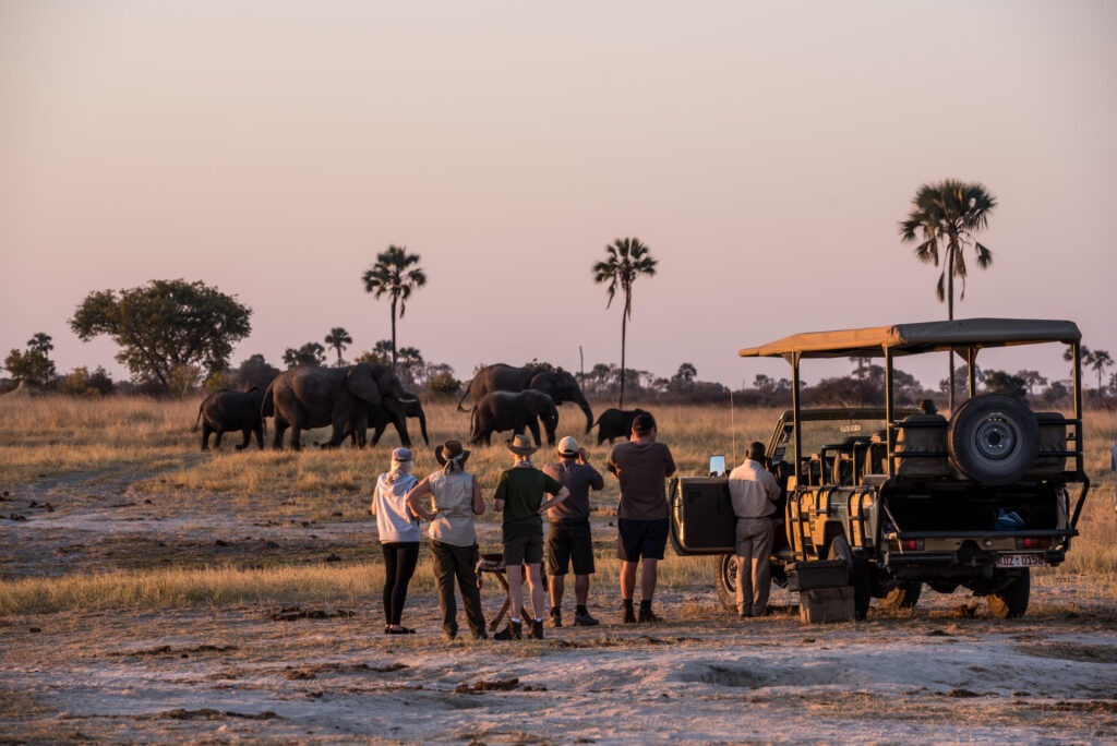 The Hide - Hwange - Zimbabwe (30)