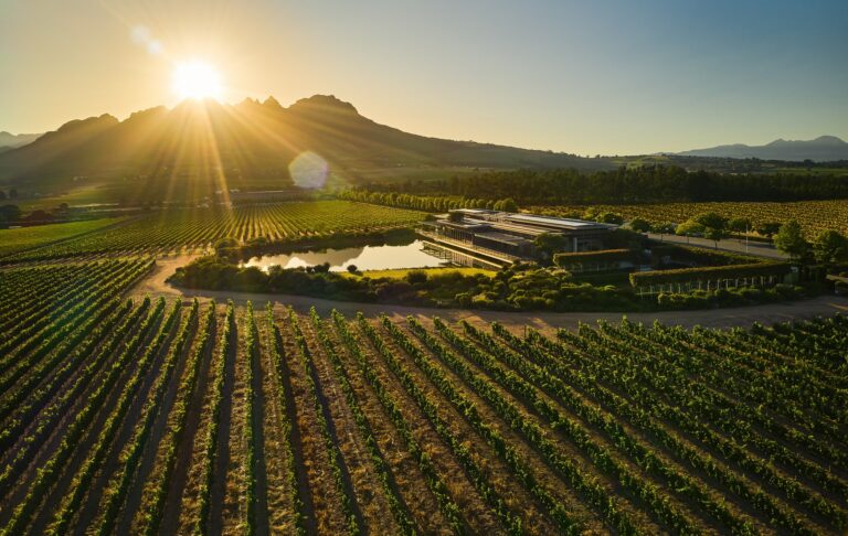 Cavalli Estate - Cape Winelands