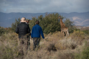 Sanbona Dwyka Tented Lodge