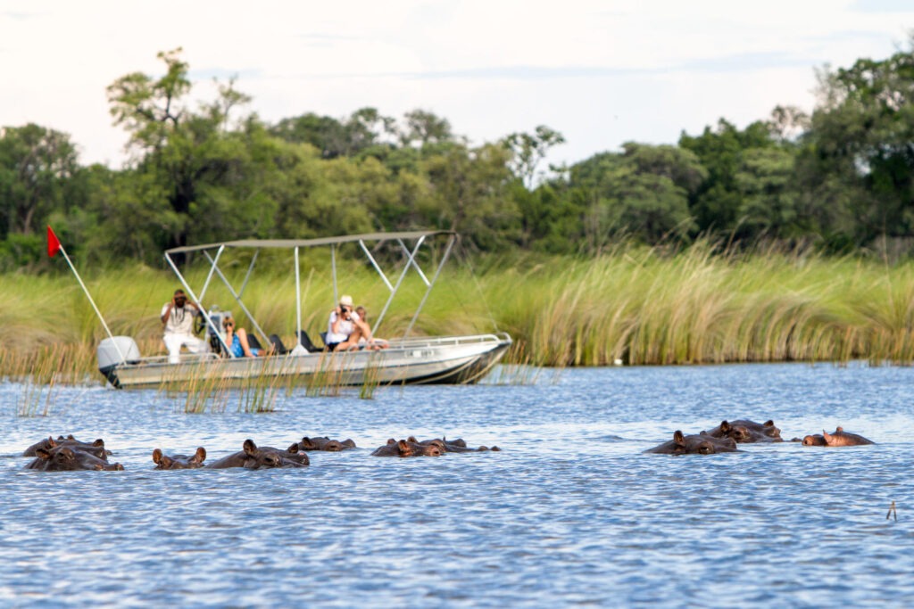 Camp Moremi - Botswana (18)