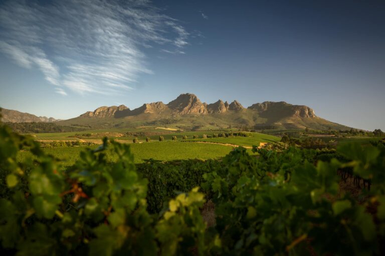 Ernie Els Wine Farm