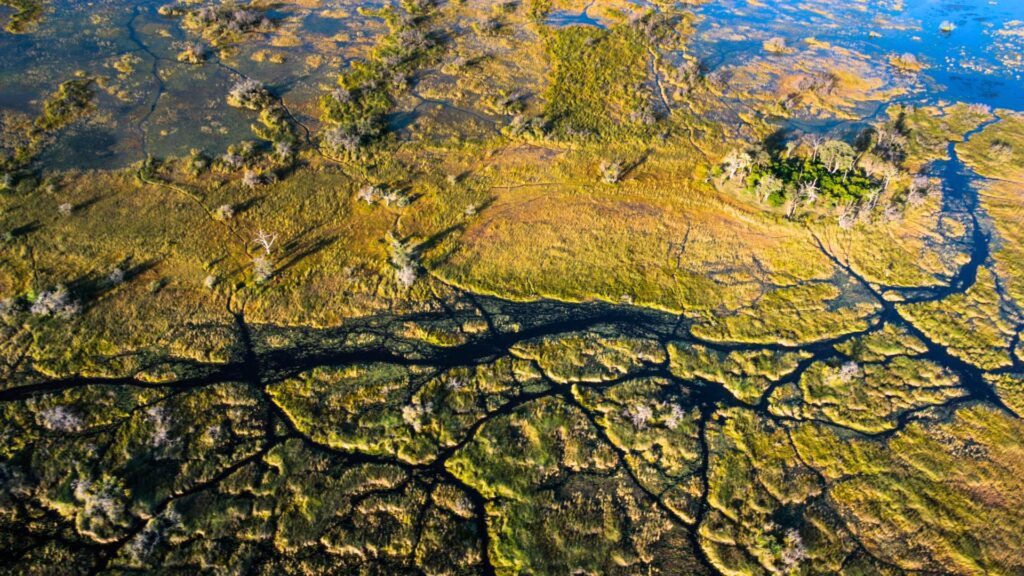Okavango