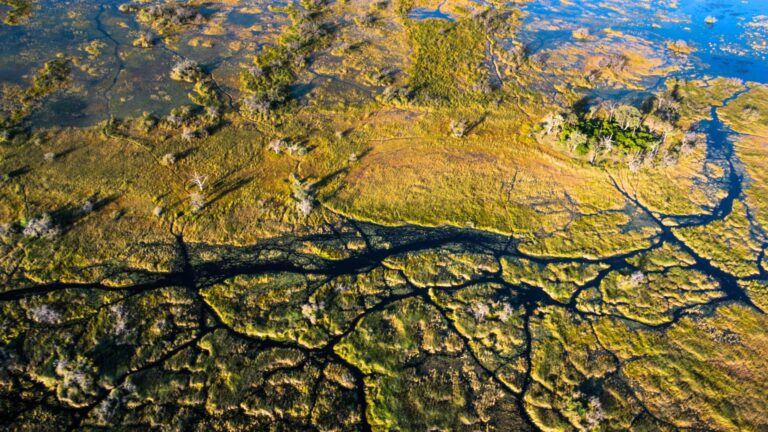 Okavango