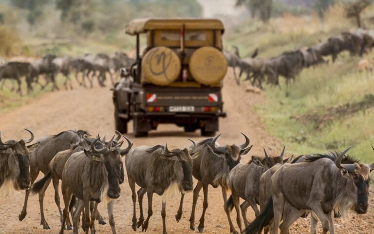 One Nature Nyaruswiga