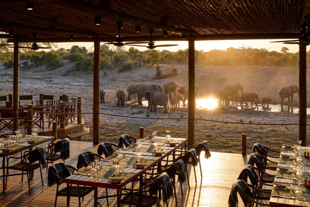 Savute Safari Lodge - Botswana (1)