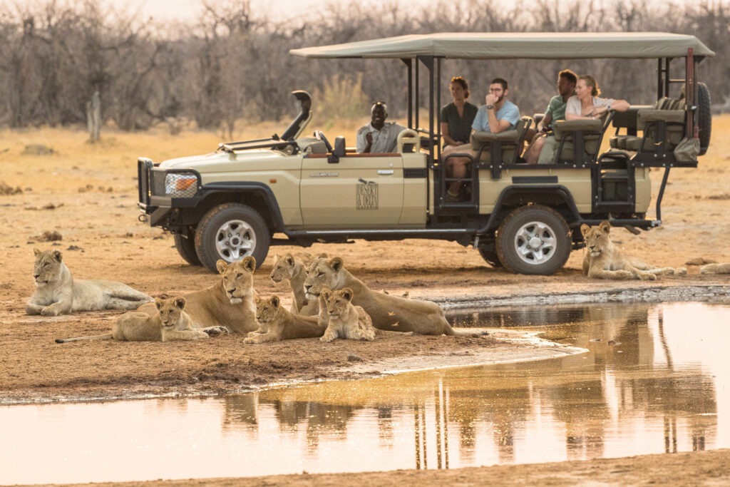 Savute Safari Lodge - Botswana