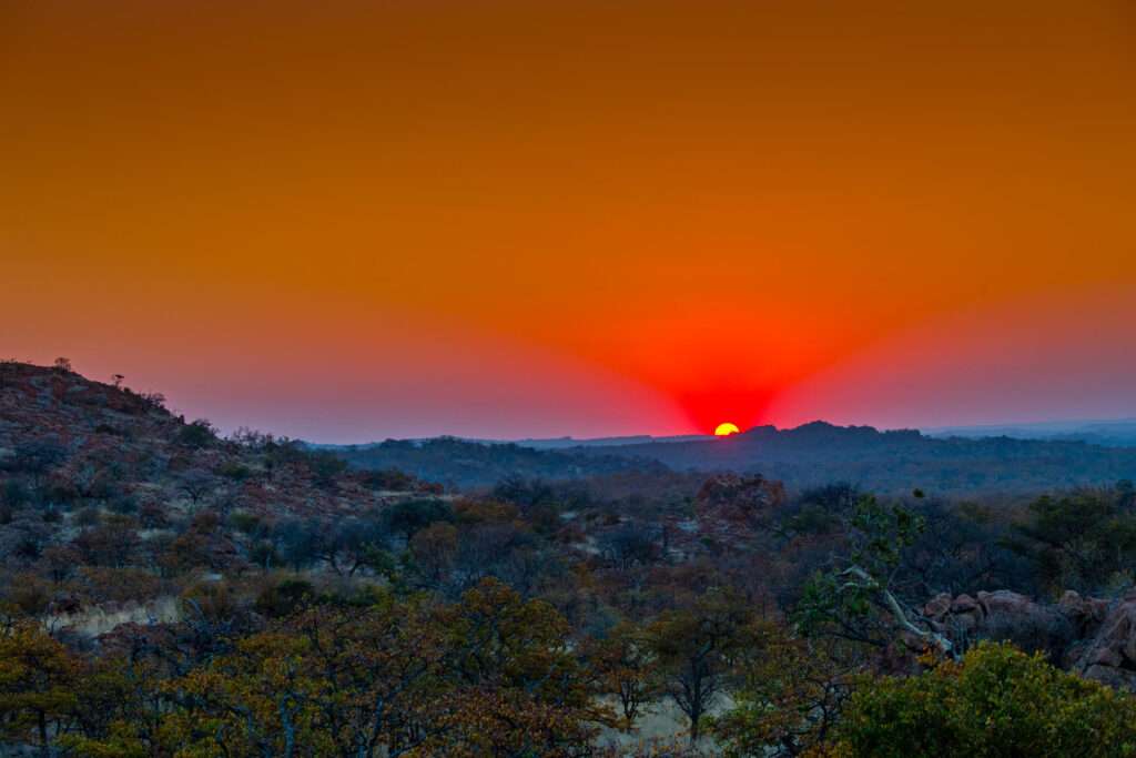 Mopane Bush Lodge - South Africa