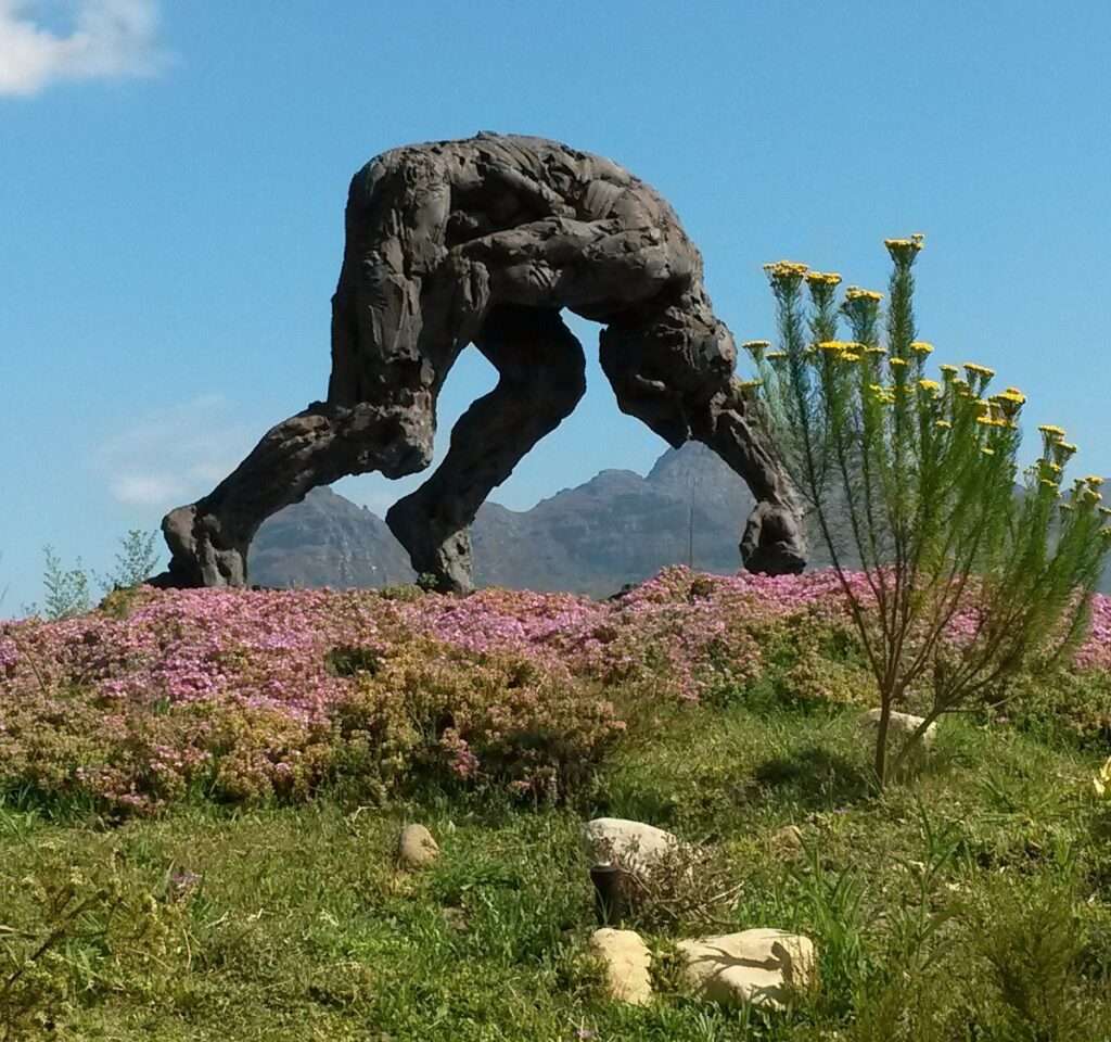 The Dylan Lewis Sculpture Garden