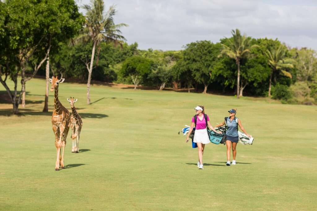 Vipingo Ridge Baobab
