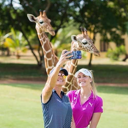 Vipingo Ridge Baobab