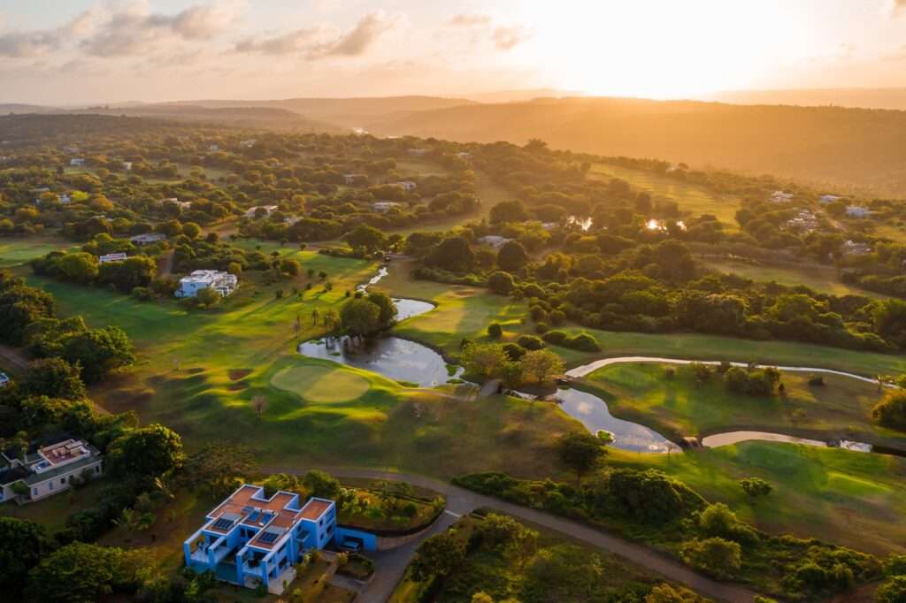 Vipingo Ridge Baobab