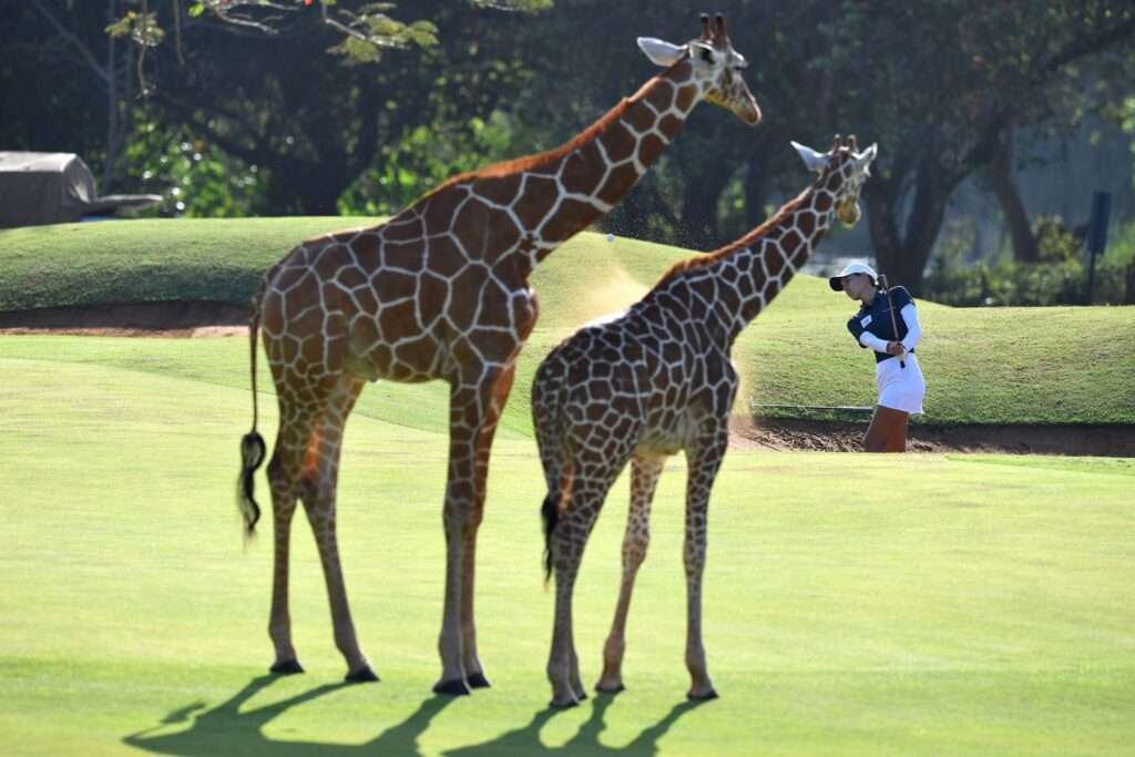 Vipingo Ridge Baobab - Kenya (19)
