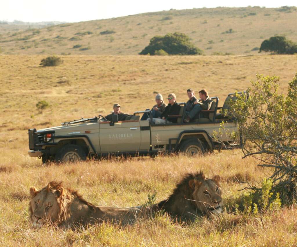 Kichaka Lodge - Lalibela