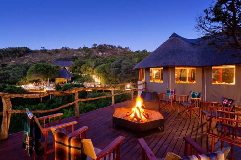 Tree Tops Safari Lodge - Lalibela Wildife Reserve