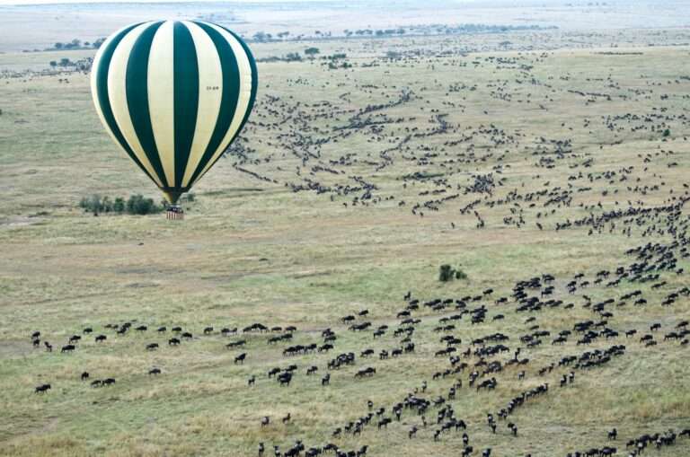 Maasai Mara - Kenya