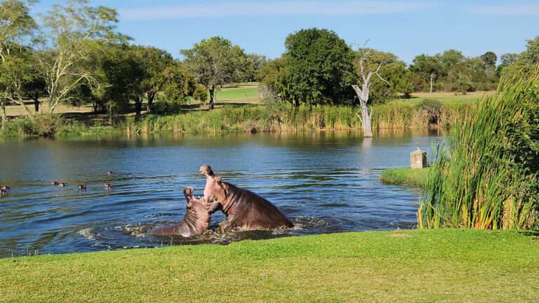 Skukuza Golf Course