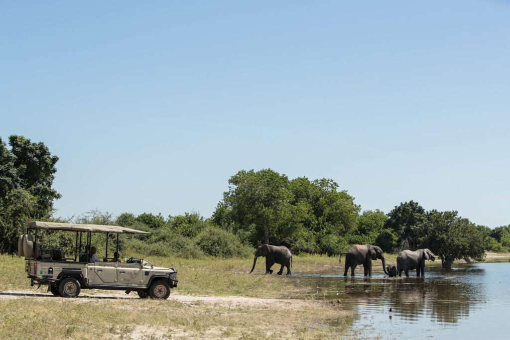 Chobe National Park - Botswana