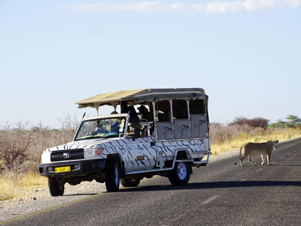 Etosha Safari Camp