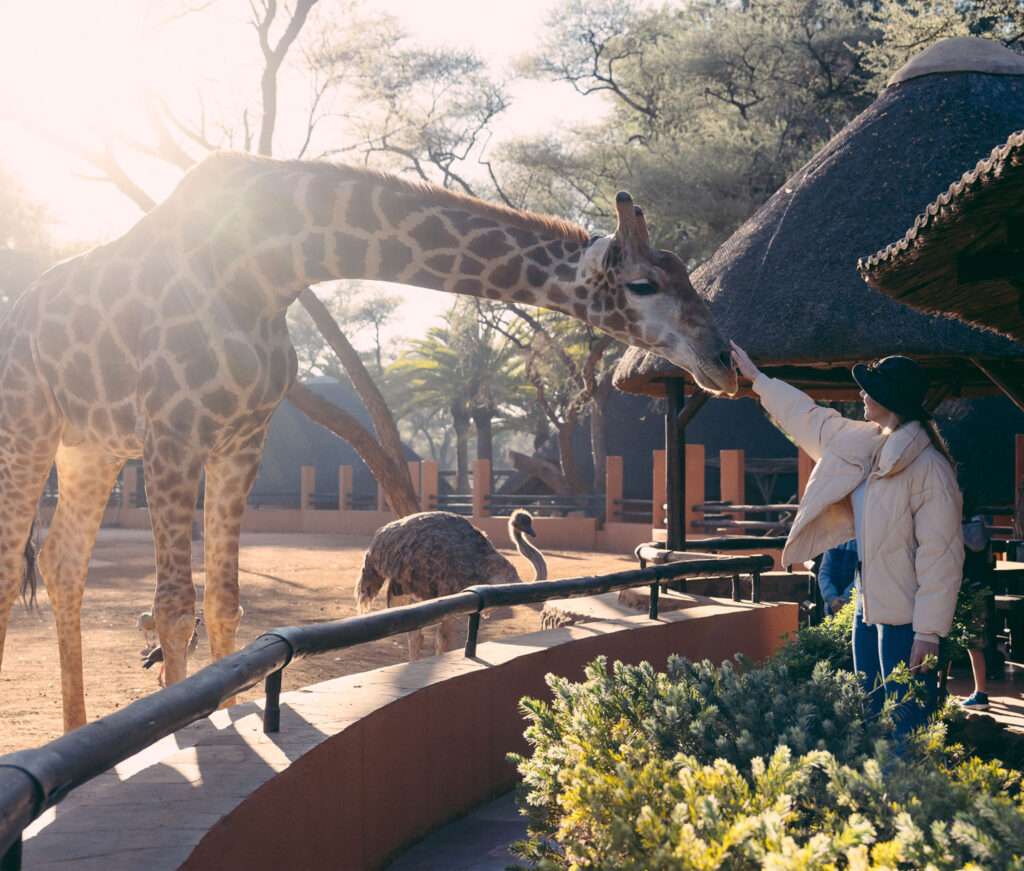 Omaruru Game Lodge - Namibia