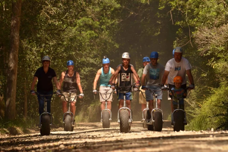 Scootours Knysna Forest