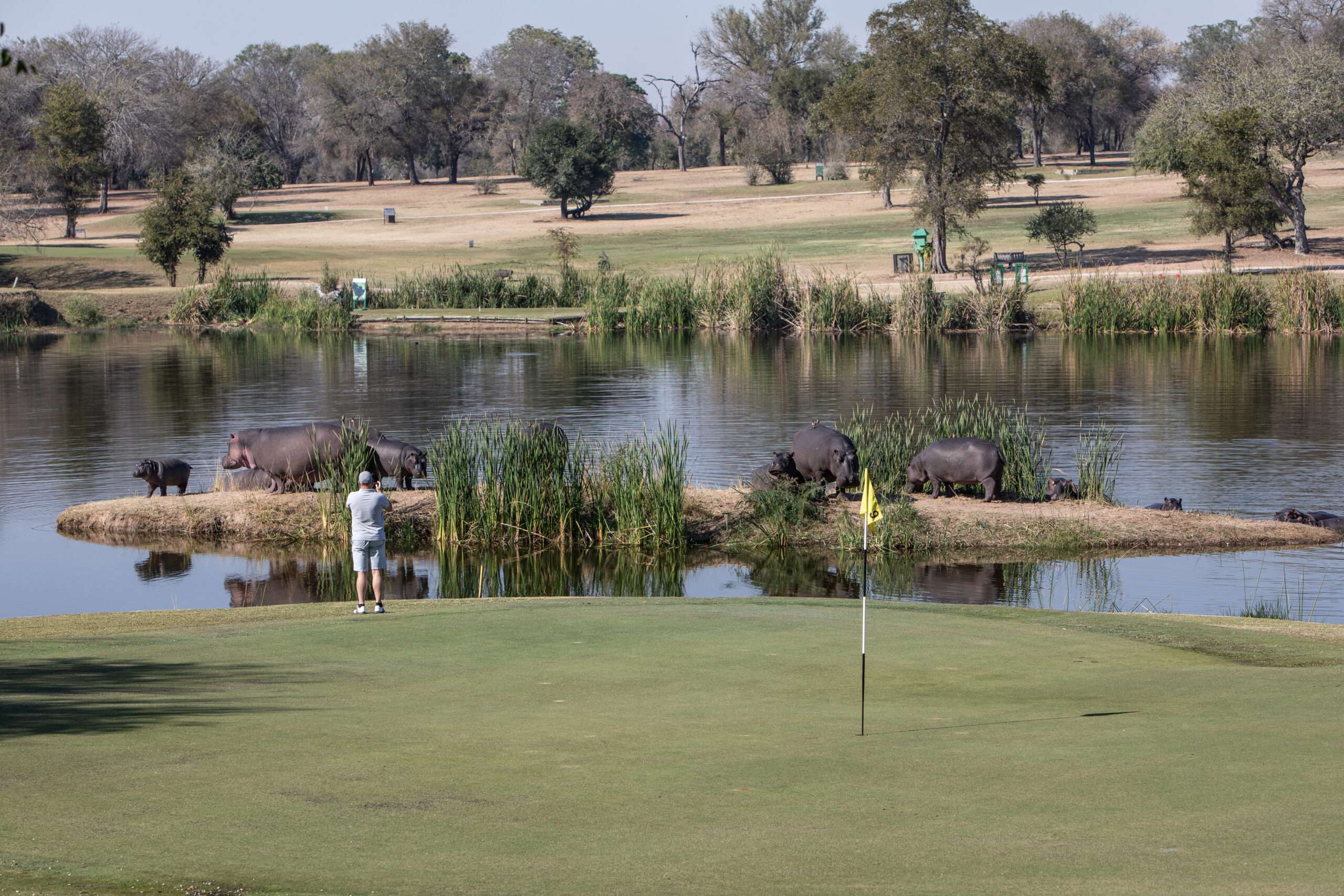 Skukuza Golf Club 