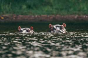 Lake Victoria - Uganda
