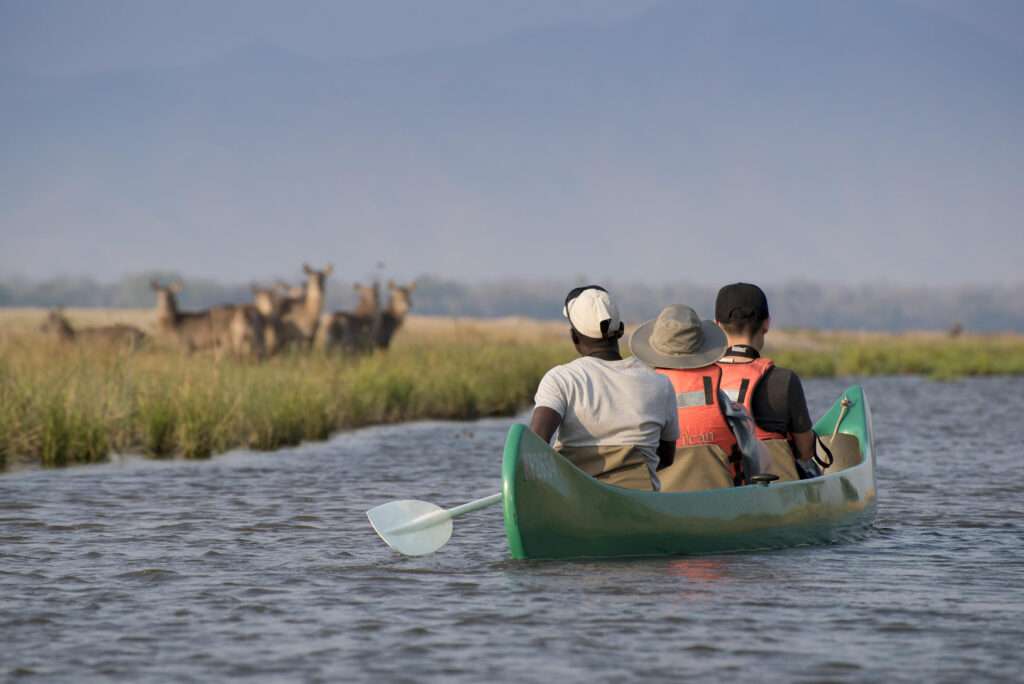 Mana Pools National Park - Zimbabwe