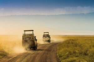 Ngorongoro - Tanzania