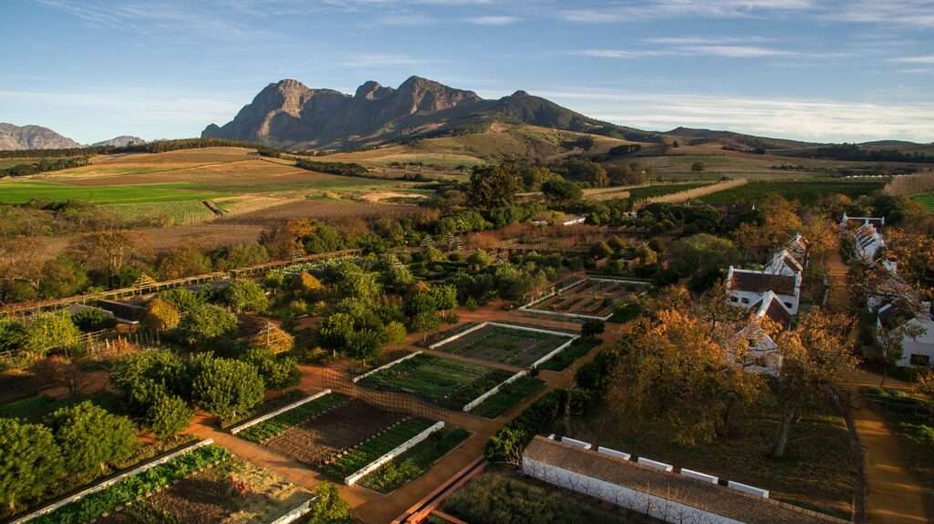 Babylonstoren - Cape Winelands