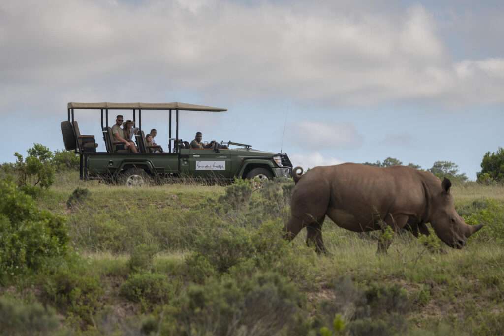 Founders Lodge at Shamwari (9)