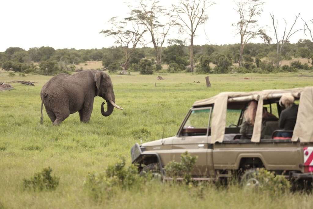 Ol Pejeta Bush Camp - Kenya