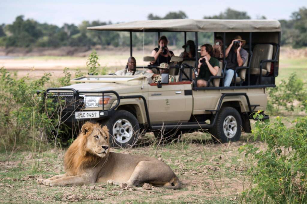 Shawa Luangwa Camp - Zambia 