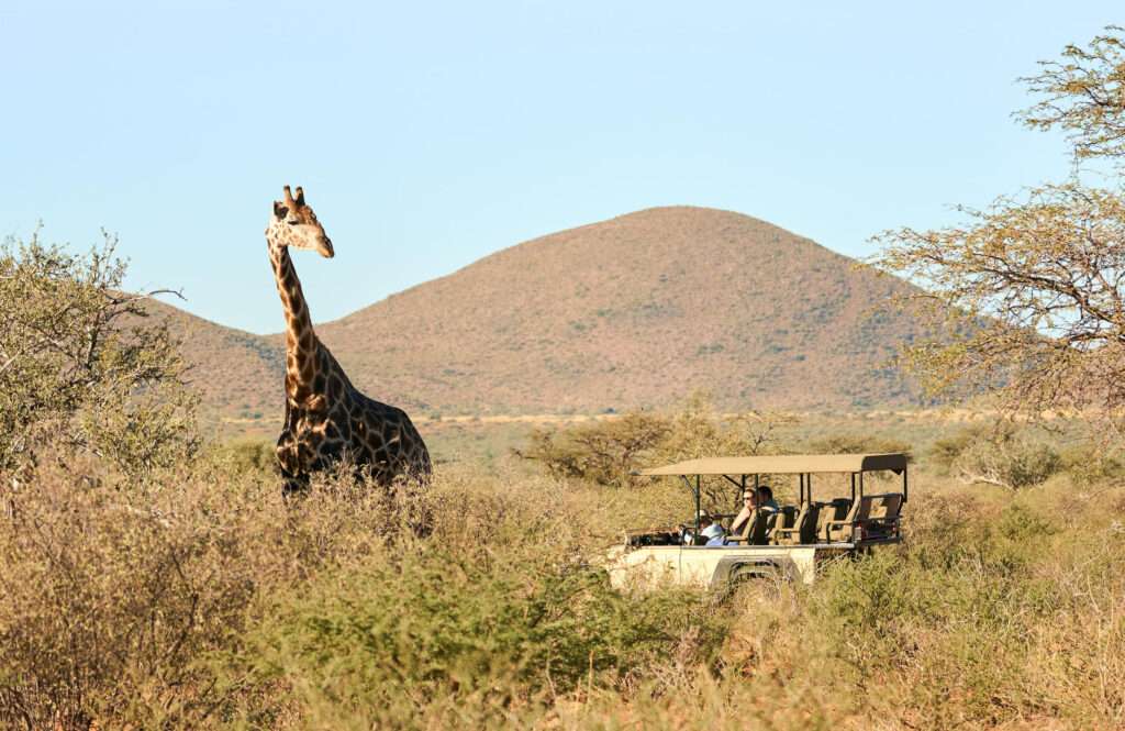 The Motse - Tswalu