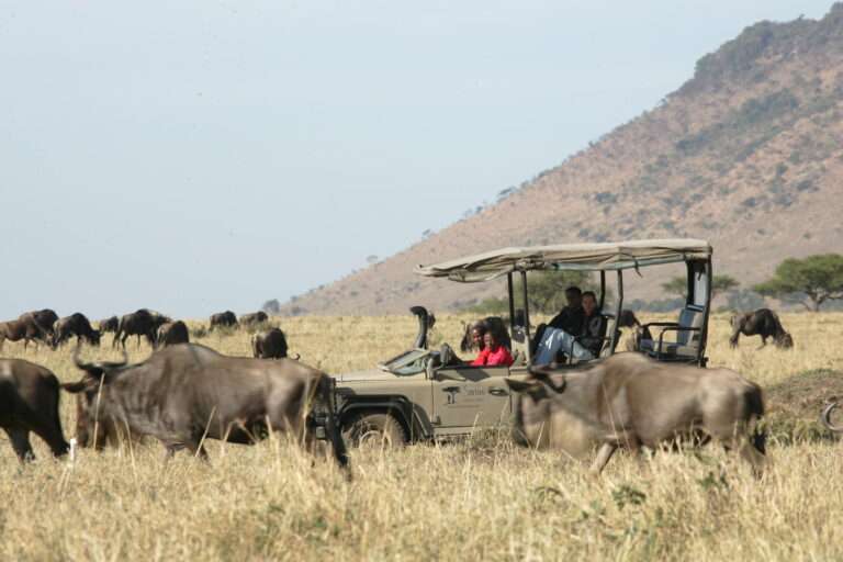Great Migration - Saruni Mara