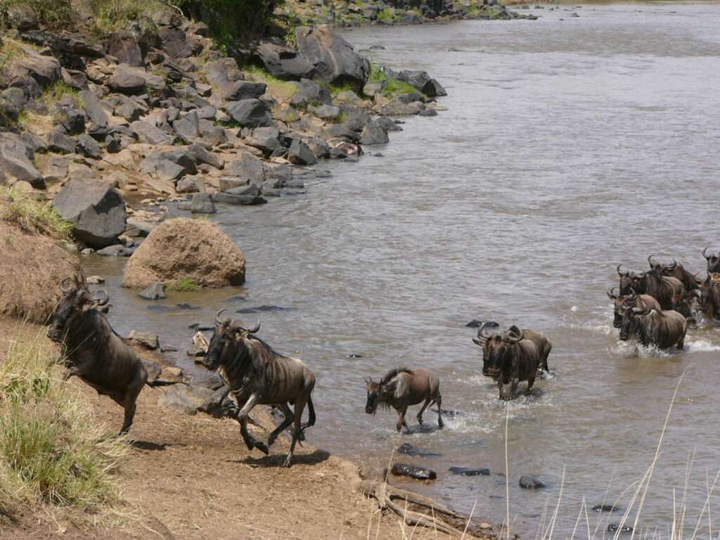 Great Migration