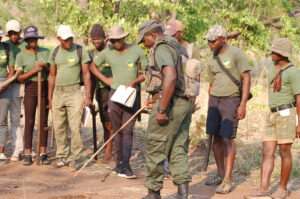Picket Chabwedzeka - Rhinos - Victoria Falls