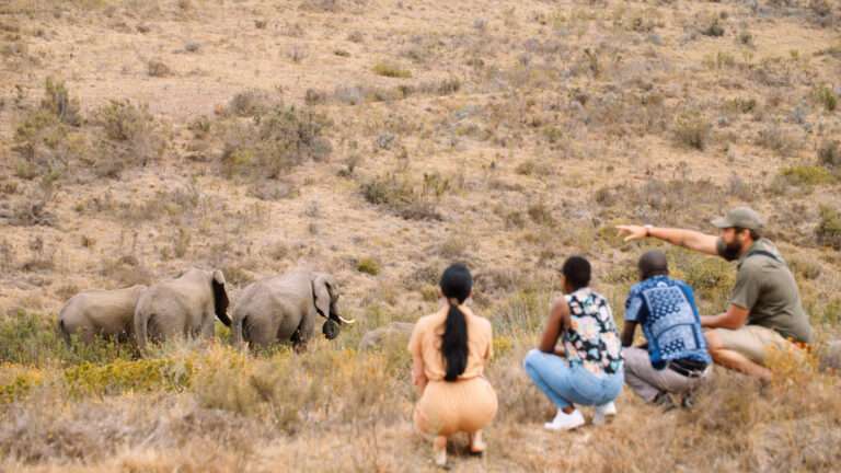 Botlierskop Tented Lodge (56)