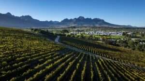 Kleine Zalze - Stellenbosch