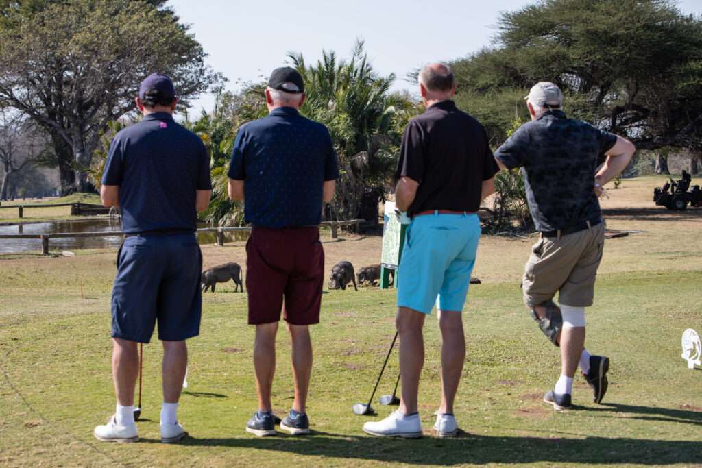 B2B Golf Tours South Africa | Ascot Tours