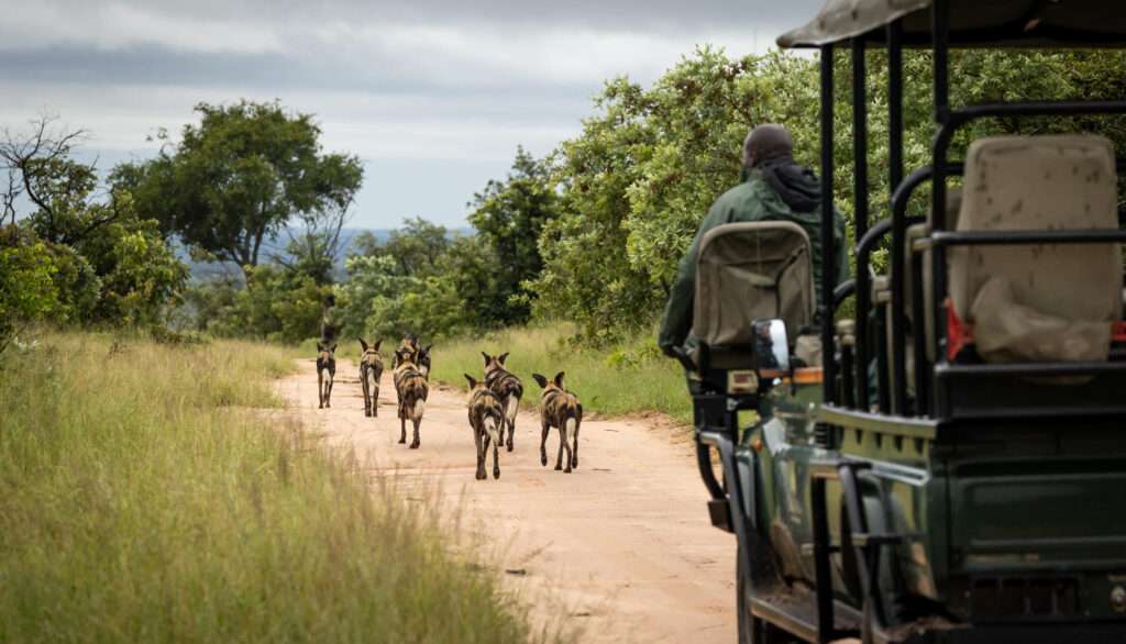 Savanna Lodge